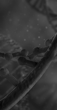 催化分化利用背景图